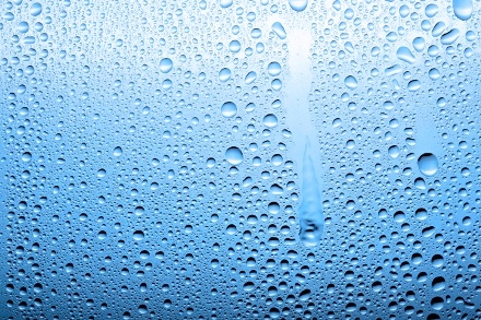 Guia completo de como combater, eliminar e prevenir a umidade